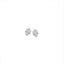 PENDIENTES NAIOMY AG925 CIRCONITAS