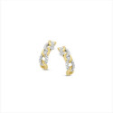 ARRECADES NAIOMY AG925 BICOLOR CIRCONITES